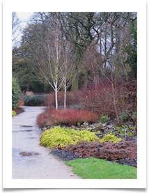 Winter Colours at Dunham - Helen Kulczycki